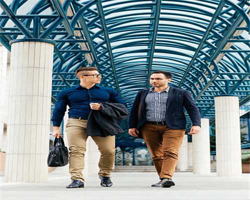 两丛新萝，向死而生