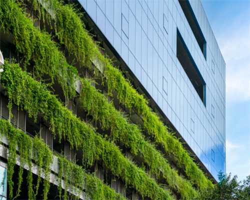 2024遂宁观音湖马拉松收官