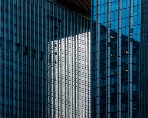 新蒲新区开展“云上”招商对接洽谈活动