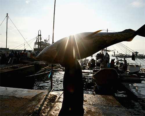 带来近2000份offer！“湘人才”公益招聘会成功举办