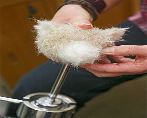 浙商惠睿纯债债券连续5个交易日下跌，区间累计跌幅0.19%