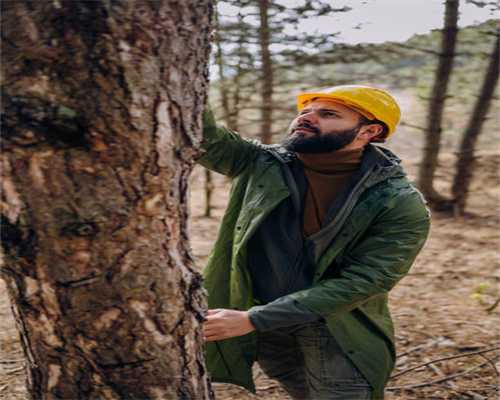 面试国际学校英语不过关，这几所全马最好的语言学校一定要 Mark