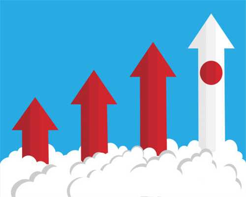 计划招录3.97万人！明起开始报名