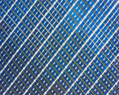 2024年槐荫区金秋招聘会成功举办