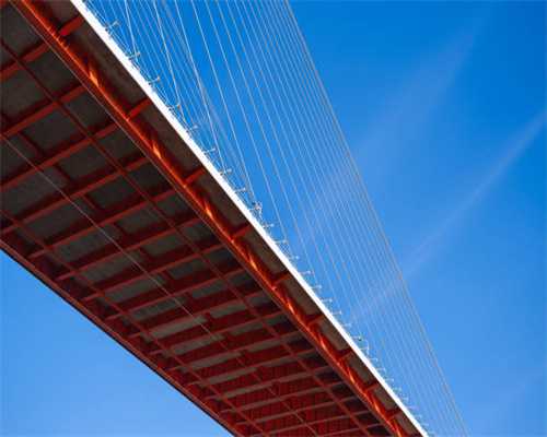 武装分子突袭利比亚最大马场，枪杀赛马，洗劫一空