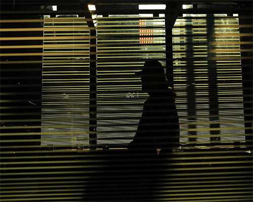 2024“天华国际杯”第九届“菏泽牡丹书会”媒体通气会举行