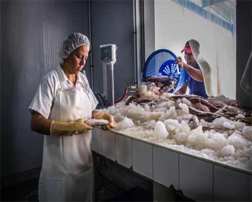 word招聘海报模板，多样式精美背景图片，A4排版套打轻松