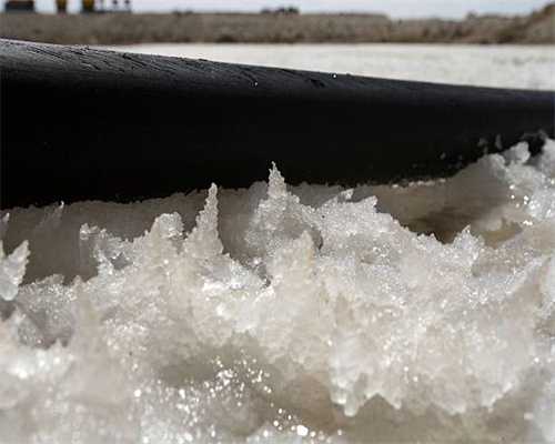 秋韵“昂阳”归乡苑