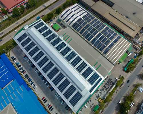 女子公布新西兰打工日常，羡煞国内网友，却是本地人都不愿干的活