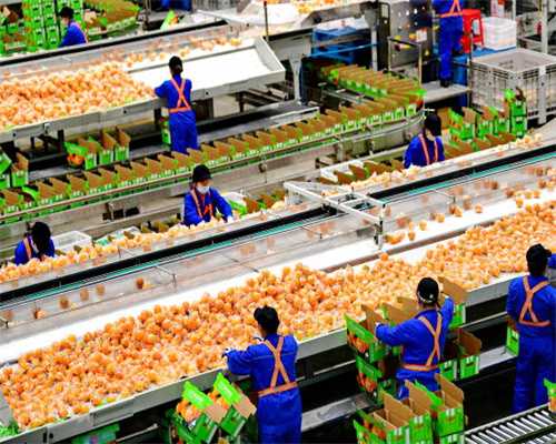 国企党建品牌展播（14）浙江金温铁道开发有限公司丨 “火车头先锋号”引领地方合资铁路改革创优争先