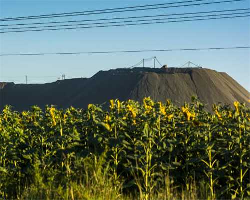 临沂人的骄傲！新时代药业荣获“国家绿色工厂”称号