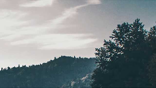 服务构基石 运营聚未来 | 绿盟科技联合运营合作伙伴峰会成功举行