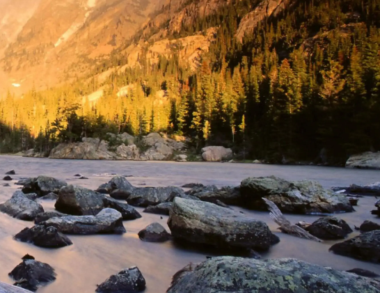 教育部：全国累计认定教师资格4588.3万人